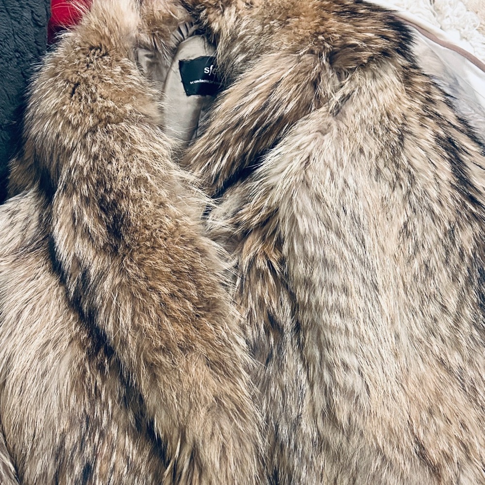 Sex and the City - Carrie Bradshaw- Genuine Tanuki Racoon Fur Coat by SFC - Picture 4 of 9